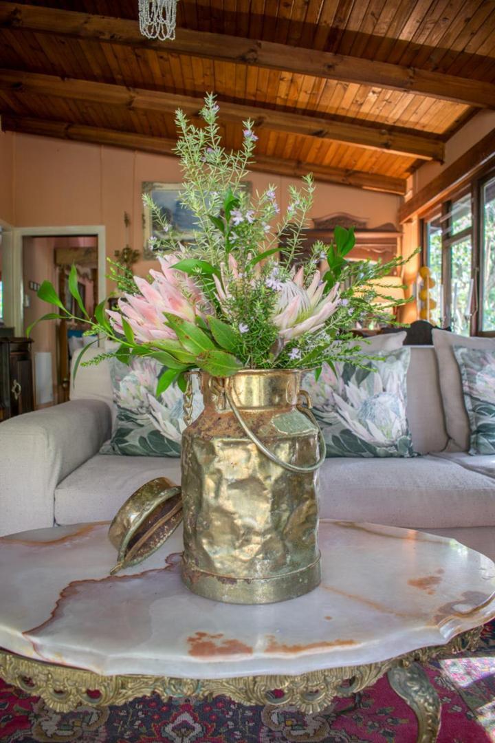 Nature'S Valley Health Retreat A Hide Away In The Forest Экстерьер фото