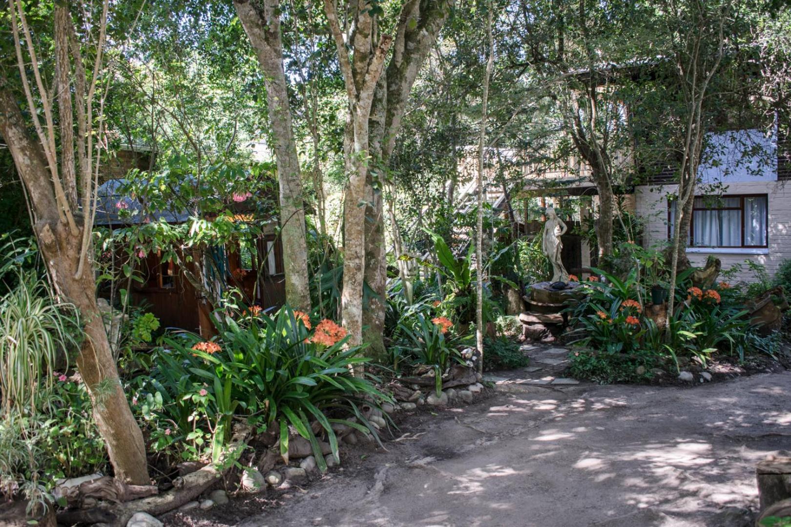 Nature'S Valley Health Retreat A Hide Away In The Forest Экстерьер фото
