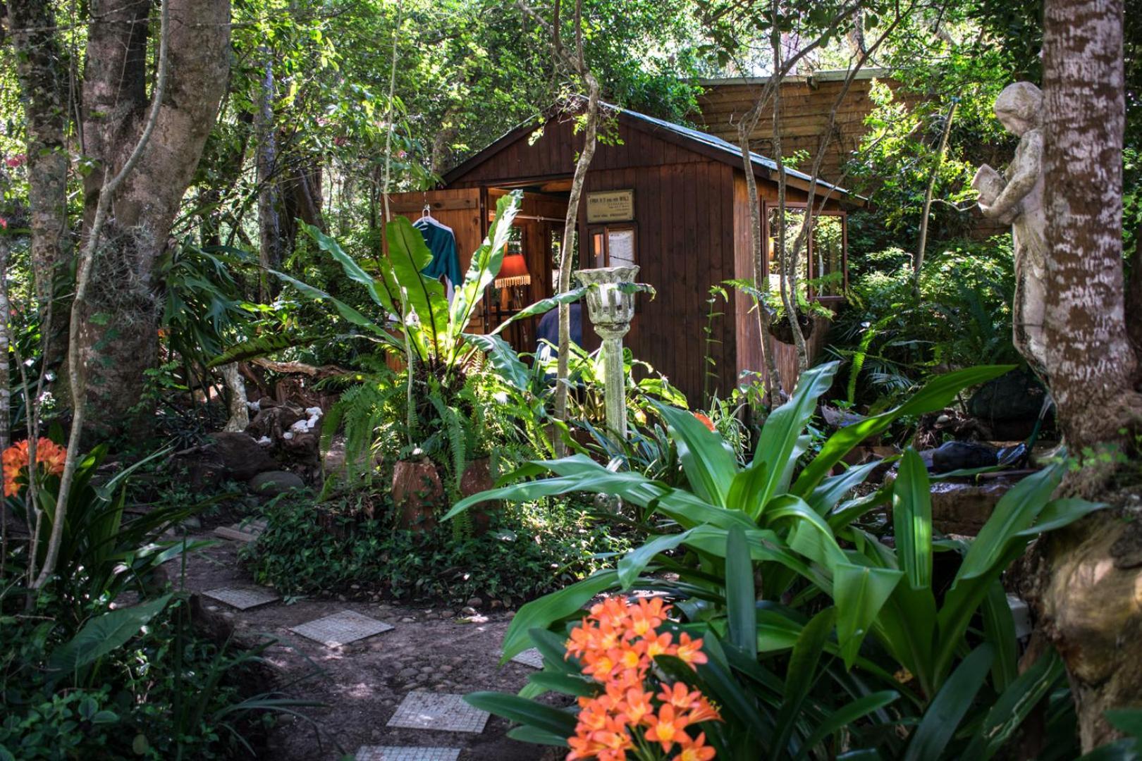 Nature'S Valley Health Retreat A Hide Away In The Forest Экстерьер фото