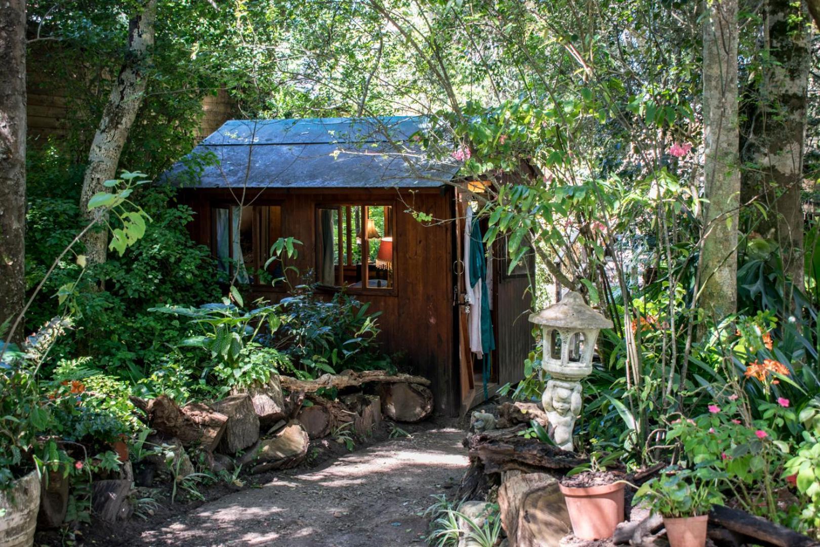 Nature'S Valley Health Retreat A Hide Away In The Forest Экстерьер фото