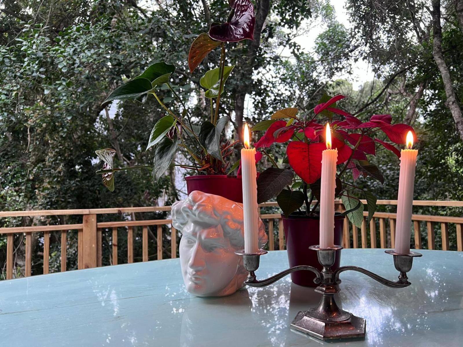 Nature'S Valley Health Retreat A Hide Away In The Forest Экстерьер фото