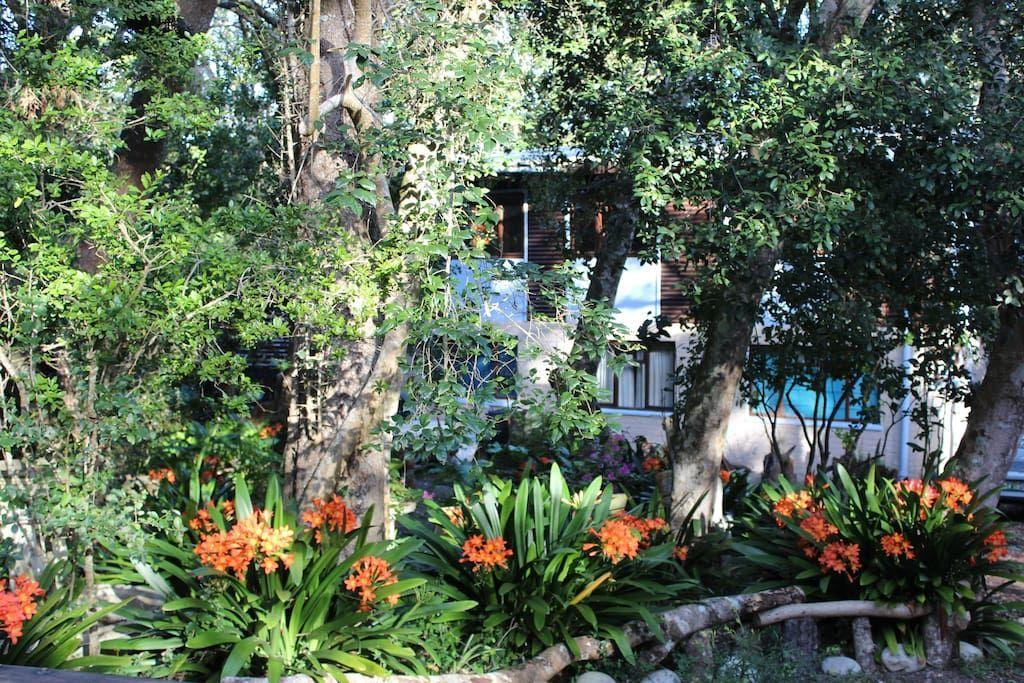 Nature'S Valley Health Retreat A Hide Away In The Forest Экстерьер фото